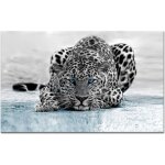 Tableau dco murale lopard - animaux - 80x50 cm