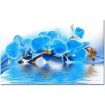 Tableau déco orchidées bleues sur leau - fleurs - 80x50 cm Tableau déco orchidées bleues sur leau - fleurs - 80x50 cm