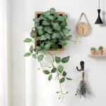 Tableau v�g�tal mural � feuilles r�elles - cadre d�coratif 30x48cm - plante artificielle sans entretien ...