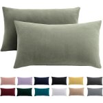 Taies doreiller en microfibre - febest - lot de 2 - 40x60 cm - vert sauge - infroissable - fermeture ...