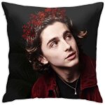 Taie doreiller personnalis�e pour ext�rieur - int�rieur - timothee chalamet - rayures - 50 x 75 cm - ...