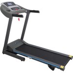 Tapis de course motoris� usain