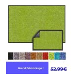 Tapis de porte paillasson dentre rhine vert citron 90 x 150 cm