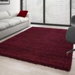 Tapis salon shaggy - mylan - rouge - 120 x 170 cm - 100% polypropyl�ne - carpettex