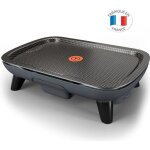 Tefal - plancha des saveurs 2400 w yy4570fb