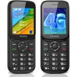 T�l�phone portable mini 4g lte basique - double sim et batterie 1000mah