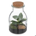 Terrarium bota verre h195cm - atmosphera createur dinterieur