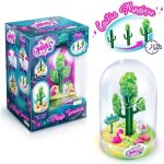 Terrarium  faire pousser so diy so magic - modle desert - canal toys - 8 ans et +