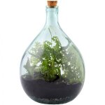 Kit terrarium complet � faire soi - m�me 35l