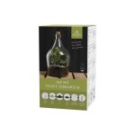 Terrarium v�g�tal � faire soi m�me 3 litres