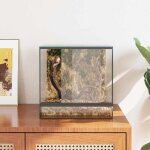 Terrarium en verre transparent - meublechic - 30x30x30 cm - vue panoramique � 360� - r�sistant aux rayures ...