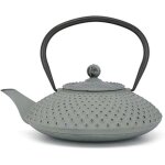 Thire - bredemeijer - asia - 125 l - fonte maille - filtre en acier inoxydable