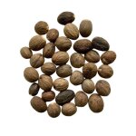Tisane noix de muscade entiere 100 grs nux moschata