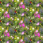 Toile cirée au mètre - largeur 140 cm - champ fleuri Toile cirée au mètre - largeur 140 cm - champ fleuri