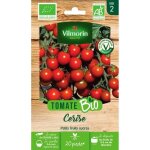 Tomate cerise bio vilmorin