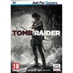 Tomb raider 2013 jeu pc