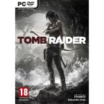 Tomb raider ed. limitée combat strike jeu pc Tomb raider ed. limitée combat strike jeu pc