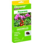 Traitement par coccinelles - decamp - pucerons - protection laurier rose potager - 50 larves ou 100 ?ufs ... Traitement par coccinelles - decamp - pucerons - protection laurier rose potager - 50 larves ou 100 ?ufs ...