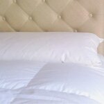 Traversin naturel plumes plat 200 cm Traversin naturel plumes plat 200 cm