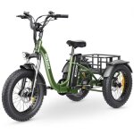 Tricycle cargo �lectrique pliable hidoes et1 - 750 w 48 v 20 ah - vert