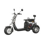 Tricycle �lectrique cp - 3 eec / coc - moteur 2000w batterie 20ah * 2 - autonomie 60 - 80km - vitesse ...