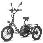 Tricycle �lectrique - fafrees - f20 mate - 500w (750w cr�te) - homologu� eu l2e - p - autonomie 115km ...
