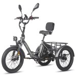 Tricycle �lectrique - fafrees - f20 mate - homologu� l2e?p - autonomie 120 km - charge 180 kg