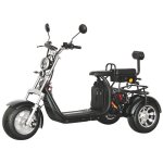Tricycle �lectrique shansu - eec / coc - moteur 2000w batterie 20ah * 2 - autonomie 60 - 80km - vitesse ...