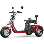 Tricycle �lectrique shansu - eec / coc - moteur 2000w batterie 20ah * 2 - autonomie 60 - 80km - vitesse ...