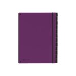 Trieur pagna office trend a4 12 compartiments 12 positions 20 mm � onglets - violet