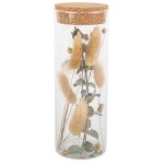 Tube en verre avec plumeaux et eucalyptus 185 cm et bouchon li�ge