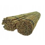 Tuteurs bambou 150cm x 18 - 20mm 50 pcs - dixie store - supports jardin - pratiques et robustes