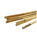 Tuteur en bambou - big - 180 cm - 16 - 18 mm - 50 pi�ces - bois de bambou - supports pour plantes - l�ger ...