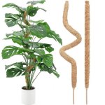 Tuteur pour plantes grimpantes - aqsacokiya - pack de 2 - fibre de coco naturelle et aluminium - 120cm ...
