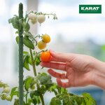 Lot de 10 tuteurs pour plantes grimpantes tomates concombres framboises ou fleurs epaisseur : 11 mm longueur ... Lot de 10 tuteurs pour plantes grimpantes tomates concombres framboises ou fleurs epaisseur : 11 mm longueur ...