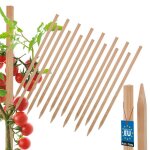 Tuteurs � tomates en bois kotarbau� pour potagers tuteurs pour arbres et arbustes 40 cm lot de 15