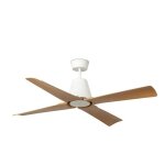 Typhoon ventilateur de plein