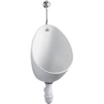 Urinoir - jacob delafon - pack coquille 32x43 - cramique - blanc