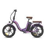 Vae fafrees f20 + pro - v�lo pliant �lectrique 20 - 100 km - 36v / 25ah - 250w - shimano 7 vitesses - ...