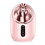 Vapeur visage vaporisateur vapeur visage sauna facial nano ionique avec conception de cache - poussi�re ...