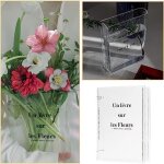 Vase dcoratif - transparent - minimaliste - 21x16x4. 8cm - abs - design contemporain