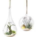 Vase  suspendre en boule de verre - zgeer - lot de 2 - installation suspendue - verre borosilicat