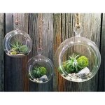 Vase en verre  suspendre pour plantes florales dcorations de nol dcorations de mariage - lot de 3 ...