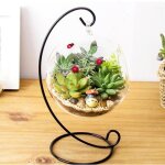 Objet d�coratif - vase en verre suspendu - cadre en fer - design boule - pour plantes succulentes