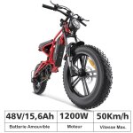V�lo electrique 20 * 4 pneu tout terrain 1200w batterie amouvible 48v / 156ah autonomie 70km shimano ...