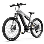 V�lo �lectrique pour adulte duotts e29 moteur 250 w batterie 48 v 135 ah pneus larges 275 pouces