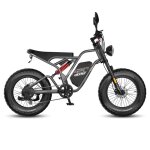 V�lo �lectrique tout - terrain fafrees f20 ultra 20 � 5. 0 batterie 48v 25ah gris