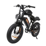 V�lo electrique tout - terrain jking fxh002 pro moteur 1000 w fat pneus 20 pouces double batteries lithium ...