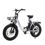 V�lo �lectrique univercycle b5 batterie 48v 12. 5ah pneus fat 20? autonomie 80 km beige