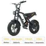 V�lo electrique vae tout - terrain roue 16 moteur 500w 35km / h batterie 48v 205ah autonomie 28 - 55km ...